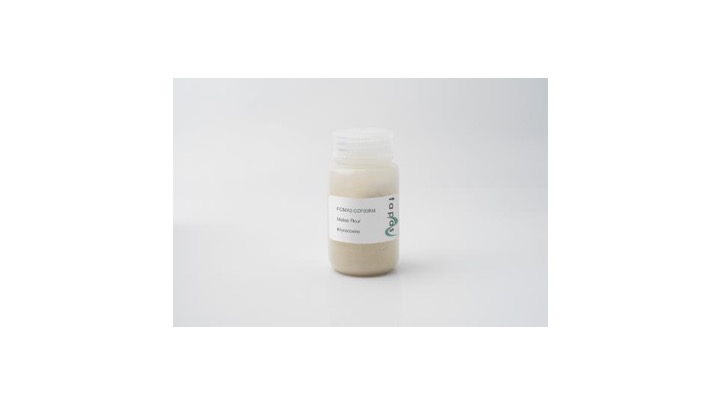 Aflatoxins in Maize Flour Reference Material