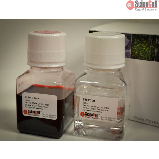 Sciencell Kit for Stem Cell Research