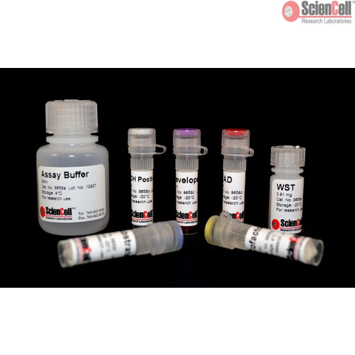 Sciencell Organelle Analysis Assay Kit - Image 3