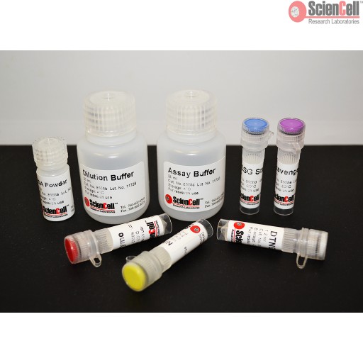 Sciencell Oxidative Stress Assay Kit - Image 6