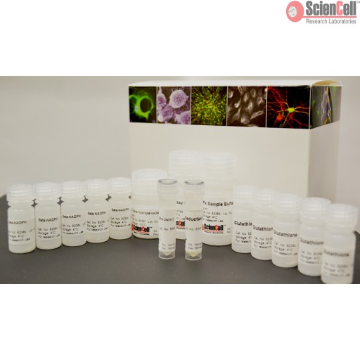 Sciencell Oxidative Stress Assay Kit - Image 2
