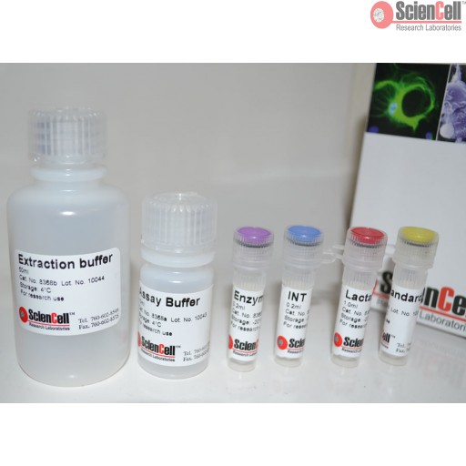 Sciencell Oxidative Stress Assay Kit - Image 3