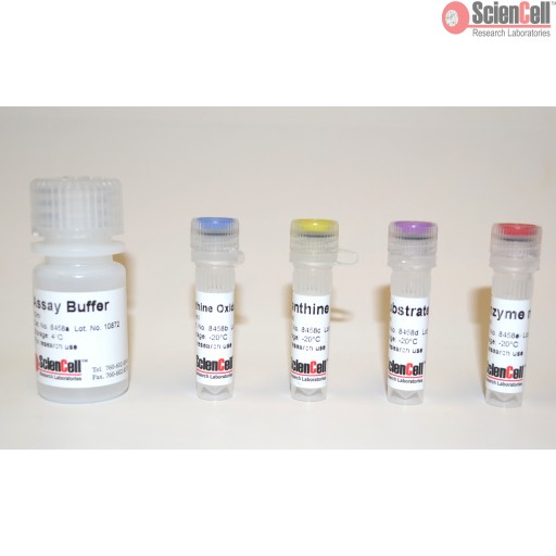 Sciencell Oxidative Stress Assay Kit - Image 4