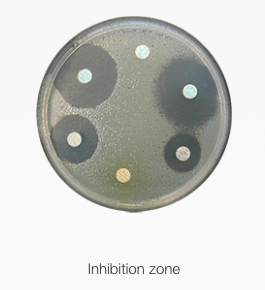 Inhibition zone measurement Inhibition zone measurement