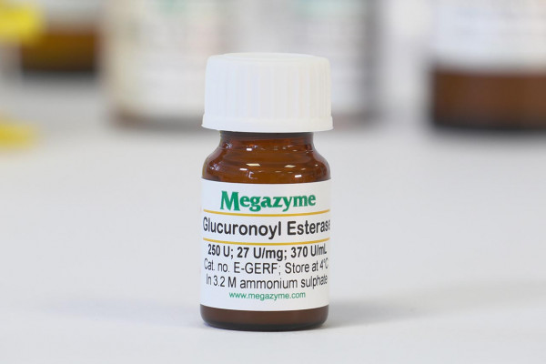 Megazyme Glucuronoyl Esterase (Ruminococcus flavefaciens)