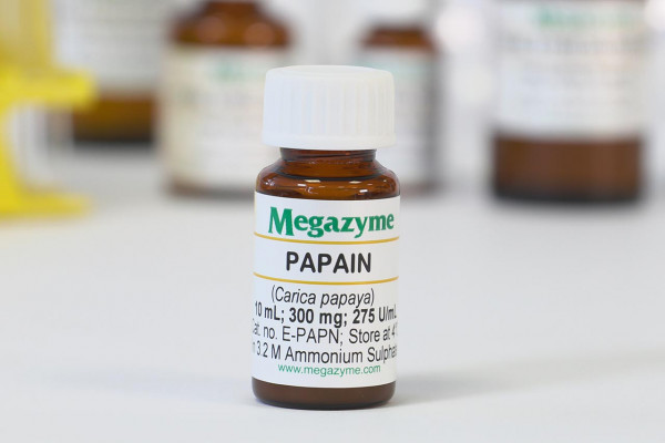 E-PAPN