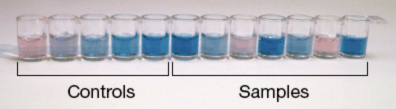 Veratox® for Casein - Image 2